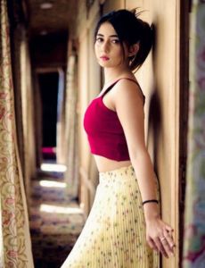 escort service in Panchkula