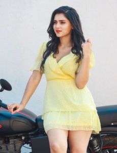 Panchkula call girls